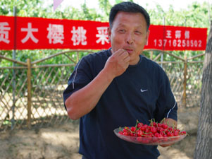 �������gӭ��