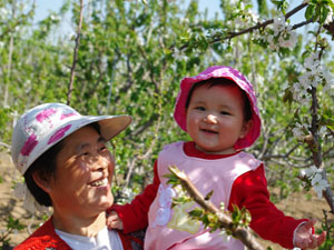 ���Ҳ�ժ,���˵Ę��@