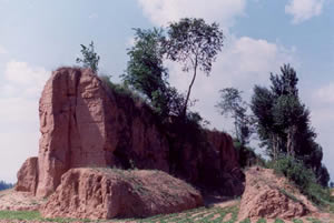 �����zַ�¶���