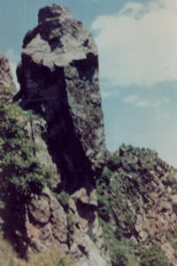 ��ïɽԭʼɭ��