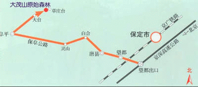 ��ïɽԭʼɭ��