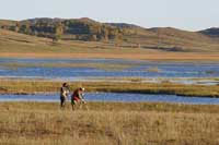 ��܊����