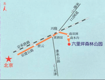 ����ƺ����ɭ�ֹ��@·���D