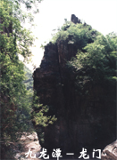 ����̶ ���T