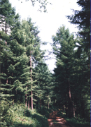 �|��Դ����ɭ�ֹ��@