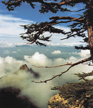 �F�`ɽ��Ȼ���o�^