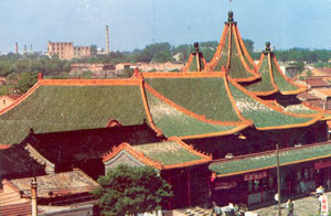 ����Y�ݱ�����