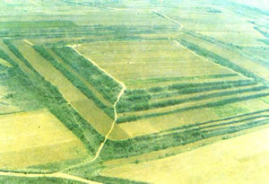 �����ʳ��w����