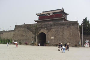 ɽ���P�������^