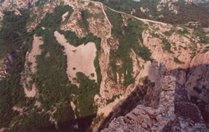 �����P�L�ǵ���