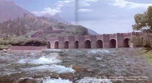 �����|���P�����T��