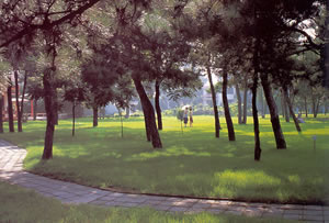 ������-����ٵ�