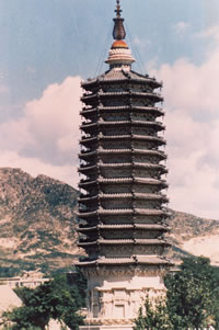 ����ԴӰ����