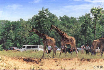 �ػʍuҰ������@