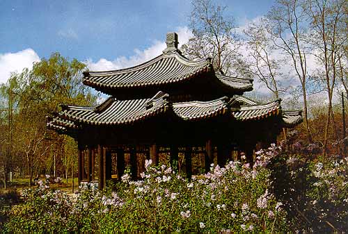 ˮ������