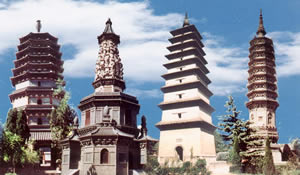 �ńx��Ⱥ����