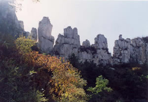 ������پ������ɽ