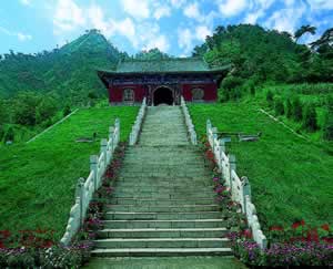 ���|��ᶾ���ɽ