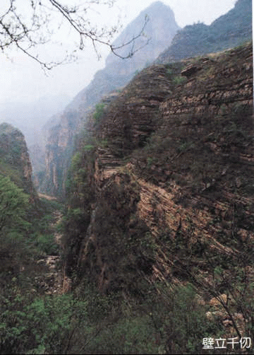 ���_�{��Ⱥ