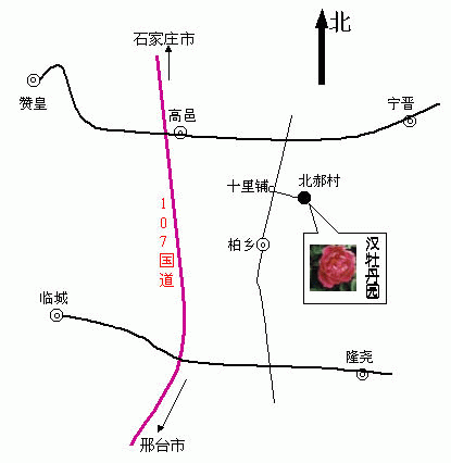 ���l�hĵ���@·���D