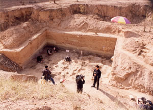 �ԭ��Ӟ��zַ