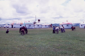 ���������ԭ��