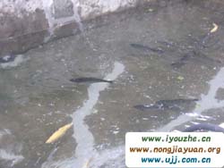 ��Ȫɽ����ម��@