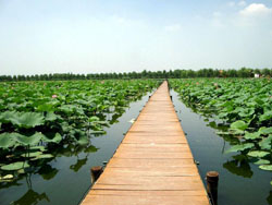 ������tɏ7̖(h��o)�r(n��ng)��Ժ