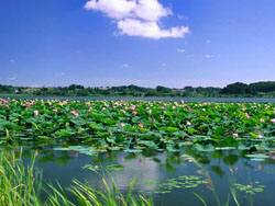 ������tɏ7̖(h��o)�r(n��ng)��Ժ