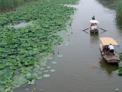 ������tɏ7̖(h��o)�r(n��ng)��Ժ