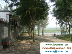 ���������17̖(h��o)�r(n��ng)��Ժ