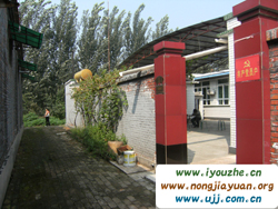 ���������15̖�r��Ժ