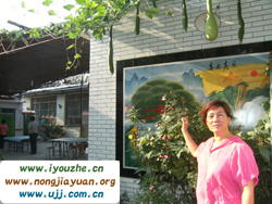 �����������r��Ժ