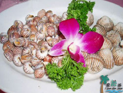 �����ӄ��f�o�����^