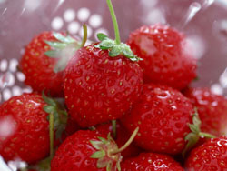 �yɽ����81̖�r(n��ng)��Ժ