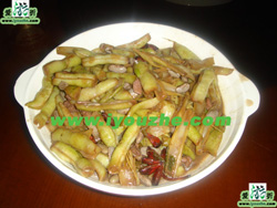 ����º�¸��͗�68̖