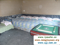 ����¸�����