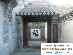 ����¸�����