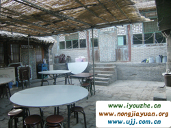 ����¸�����