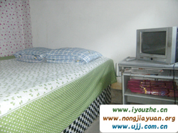 ����¸�����