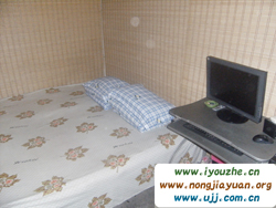 ����¸�����