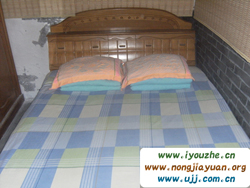 ����¸�����