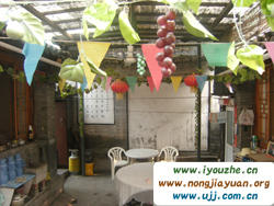 ����º�¸��͗�68̖