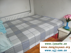 ����º�¸��͗�68̖