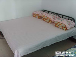 �ű�����һ�͗�