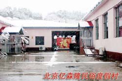 �����|ɭ¡���׶ȼٴ�