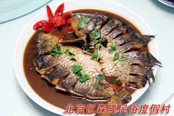 �����|ɭ¡���׶ȼٴ�