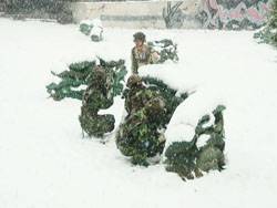 �����|ɭ¡���׶ȼٴ�