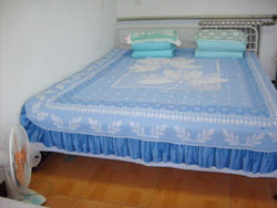 ���A�˜��p���g