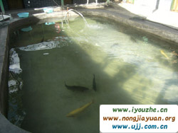 ���ȸ��ժ�^��@